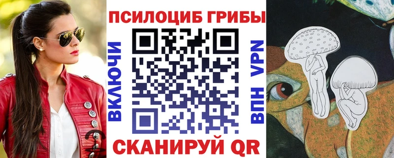 дарнет шоп  Эртиль  Галлюциногенные грибы Magic Shrooms 